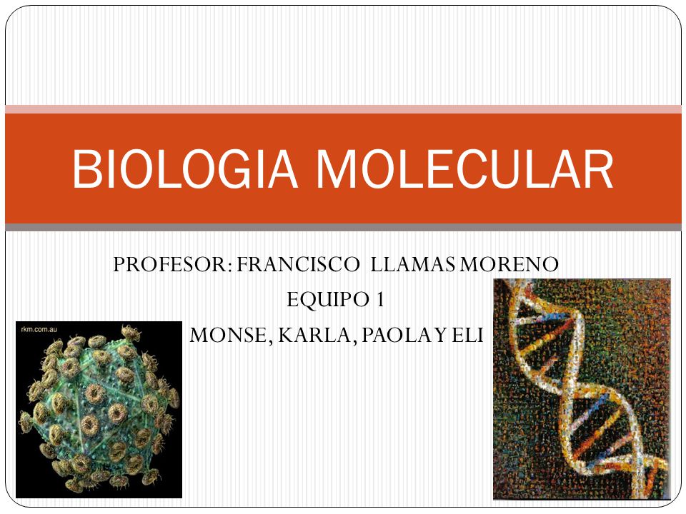 PROFESOR: FRANCISCO LLAMAS MORENO EQUIPO 1 MONSE, KARLA, PAOLA Y ELI