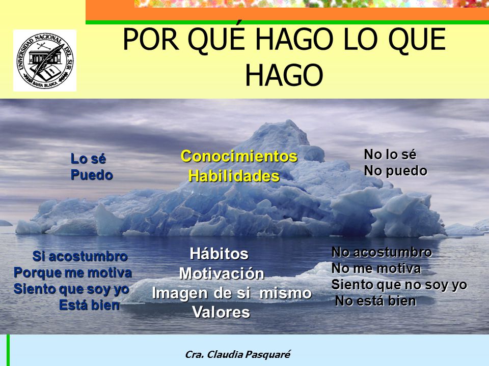 POR QUÉ HAGO LO QUE HAGO Conocimientos Motivación Imagen de si mismo