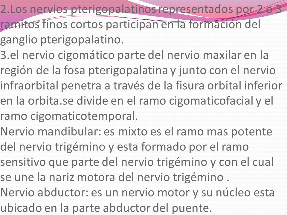 2.Los nervios pterigopalatinos representados por 2 o 3 ramitos finos cortos participan en la formación del ganglio pterigopalatino.