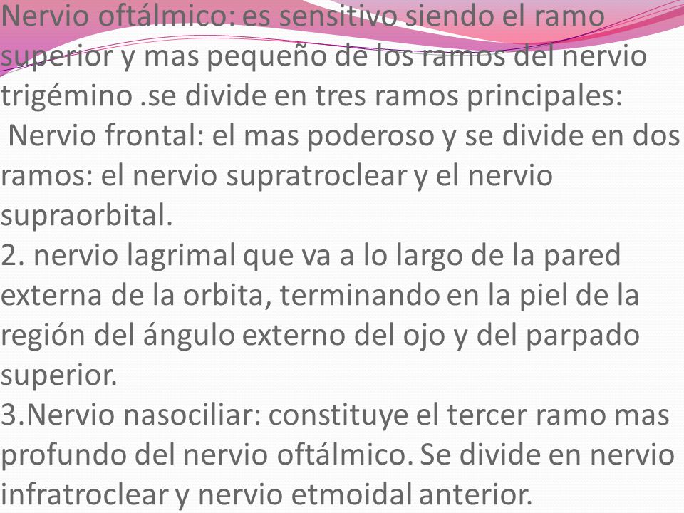 Nervio oftálmico: es sensitivo siendo el ramo superior y mas pequeño de los ramos del nervio trigémino .se divide en tres ramos principales: Nervio frontal: el mas poderoso y se divide en dos ramos: el nervio supratroclear y el nervio supraorbital.