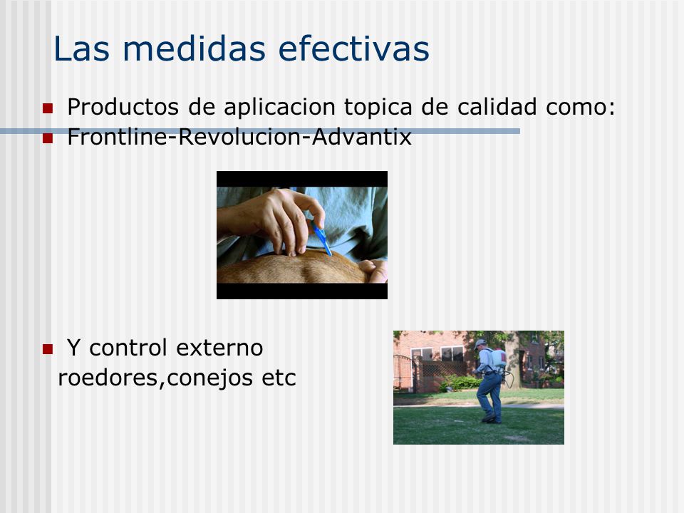 Las medidas efectivas Productos de aplicacion topica de calidad como: