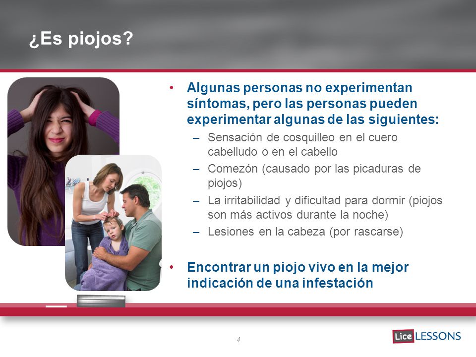 ¿Es piojos Algunas personas no experimentan síntomas, pero las personas pueden experimentar algunas de las siguientes: