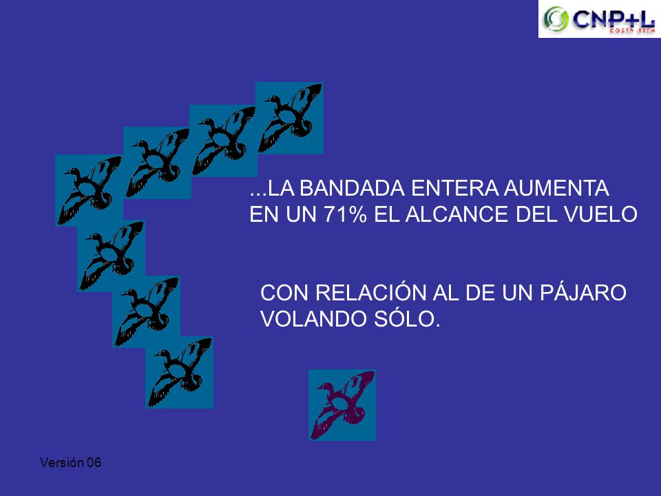 ...LA BANDADA ENTERA AUMENTA EN UN 71% EL ALCANCE DEL VUELO
