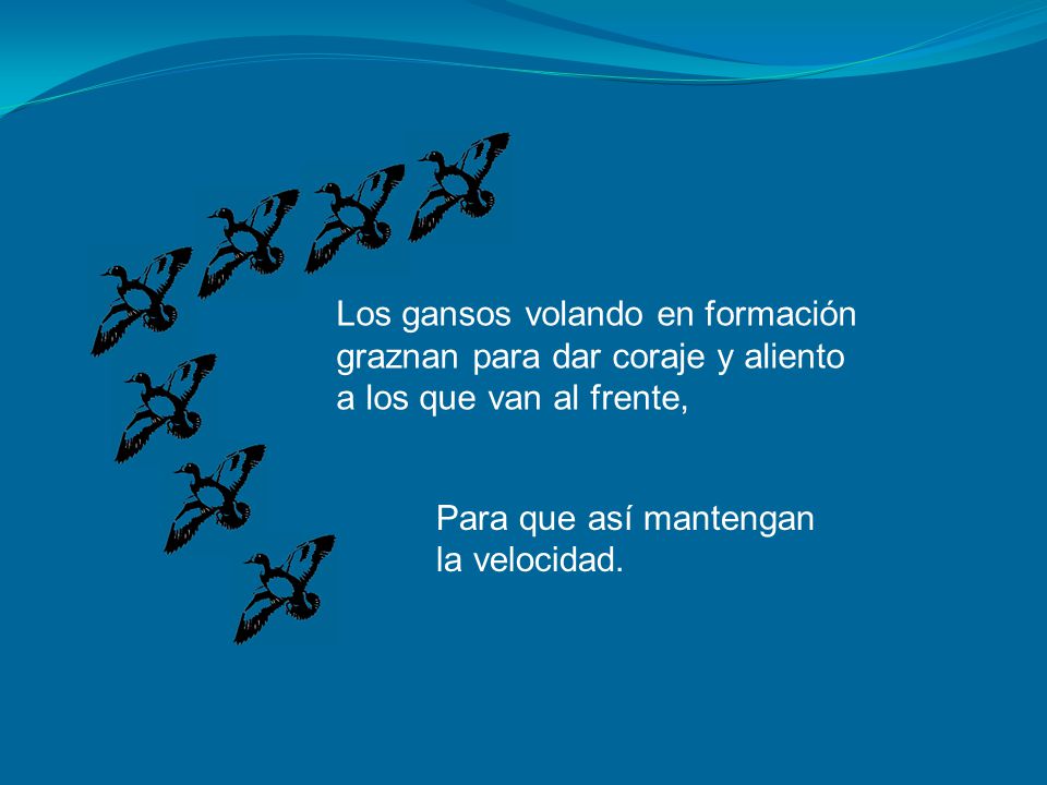 Los gansos volando en formación