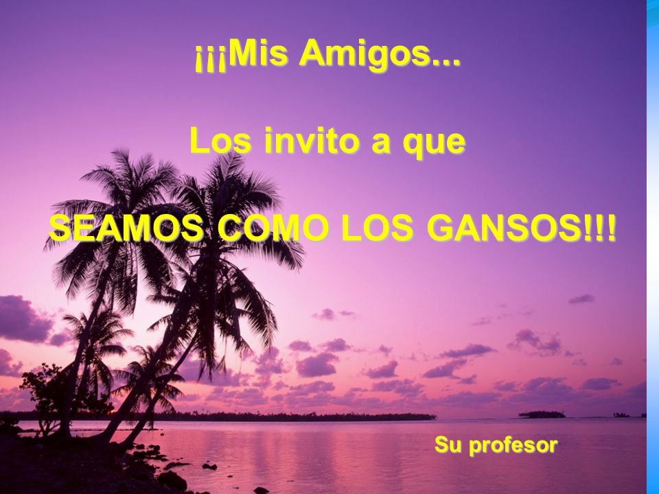 ¡¡¡Mis Amigos... Los invito a que SEAMOS COMO LOS GANSOS!!!