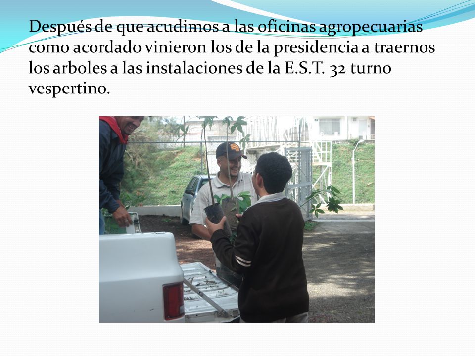 Después de que acudimos a las oficinas agropecuarias como acordado vinieron los de la presidencia a traernos los arboles a las instalaciones de la E.S.T.