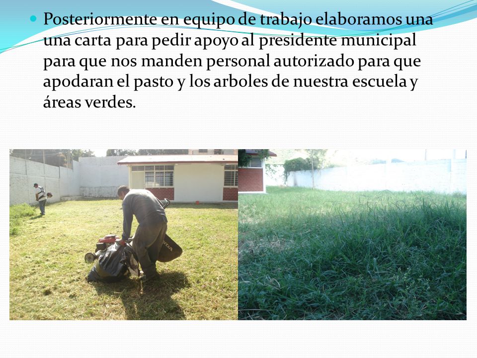 Posteriormente en equipo de trabajo elaboramos una una carta para pedir apoyo al presidente municipal para que nos manden personal autorizado para que apodaran el pasto y los arboles de nuestra escuela y áreas verdes.