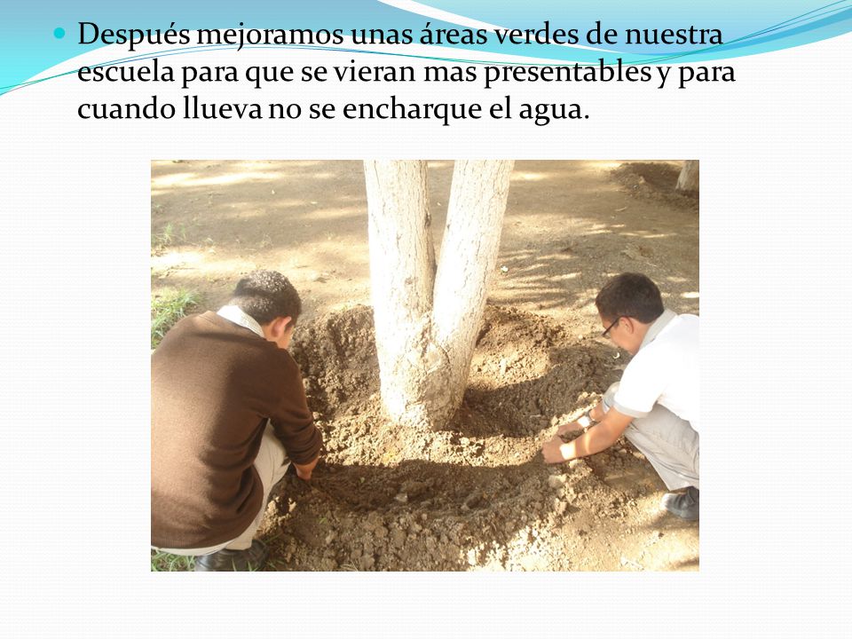 Después mejoramos unas áreas verdes de nuestra escuela para que se vieran mas presentables y para cuando llueva no se encharque el agua.