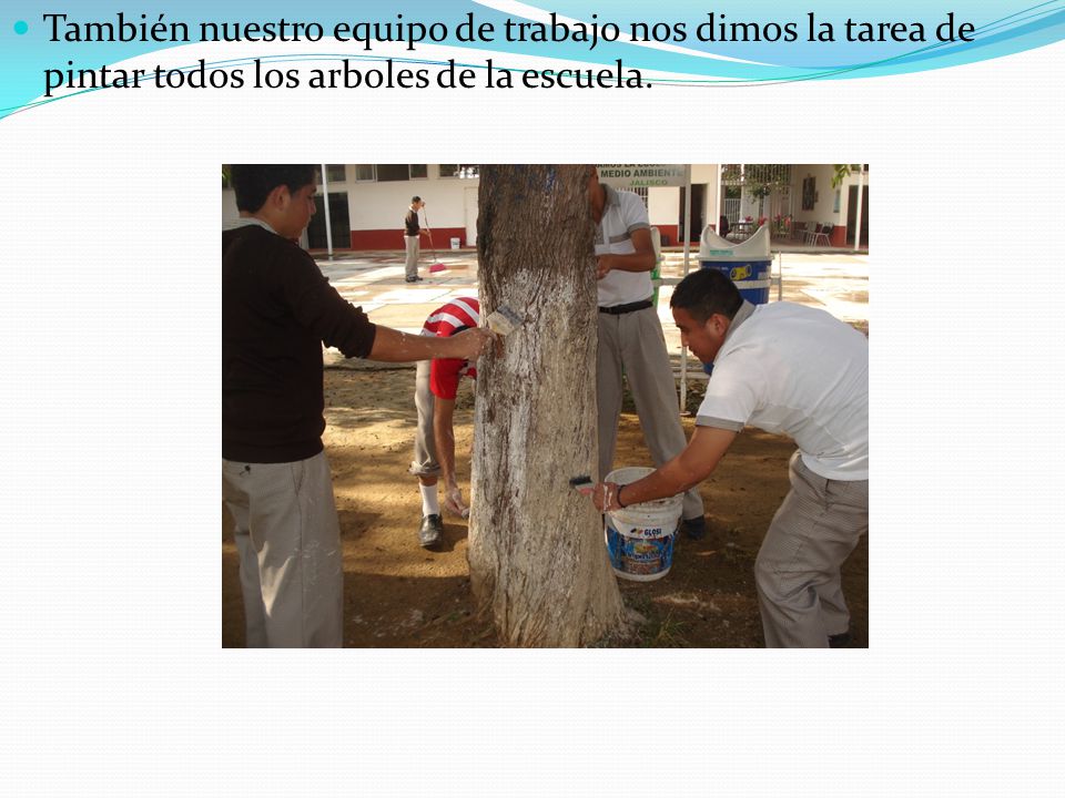 También nuestro equipo de trabajo nos dimos la tarea de pintar todos los arboles de la escuela.