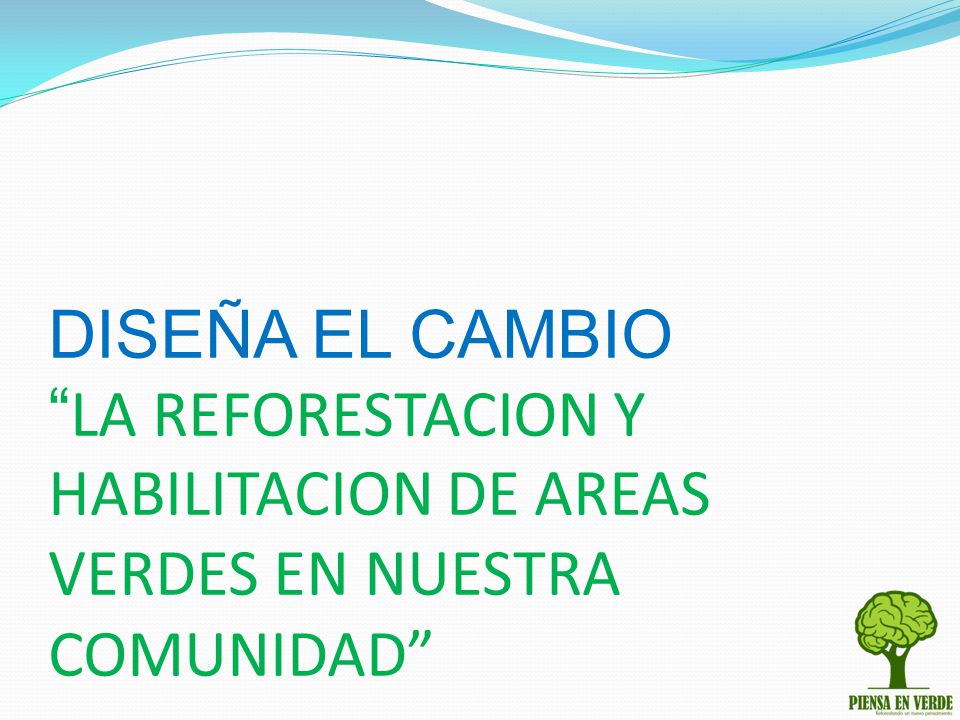 DISEÑA EL CAMBIO LA REFORESTACION Y HABILITACION DE AREAS VERDES EN NUESTRA COMUNIDAD