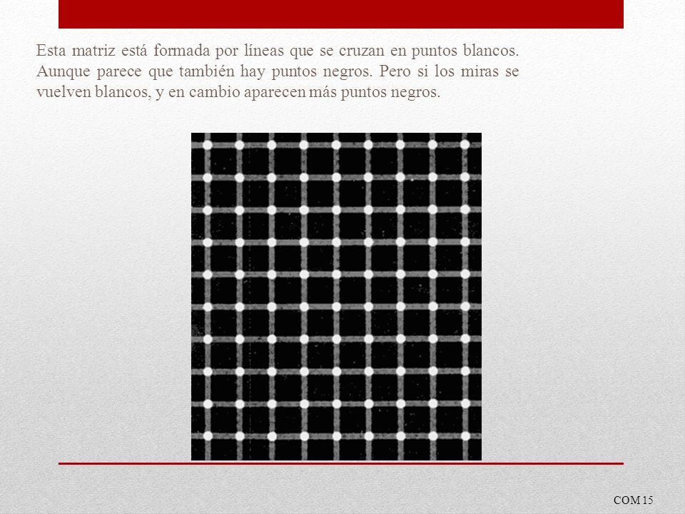 Esta matriz está formada por líneas que se cruzan en puntos blancos