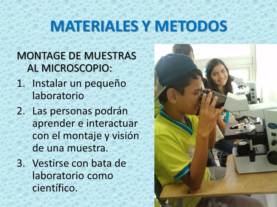 MATERIALES Y METODOS MONTAGE DE MUESTRAS AL MICROSCOPIO: