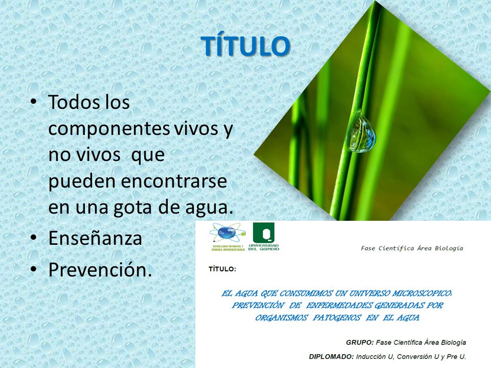 TÍTULO Todos los componentes vivos y no vivos que pueden encontrarse en una gota de agua. Enseñanza.