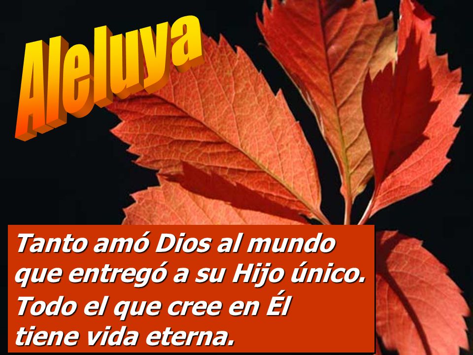 Tanto amó Dios al mundo que entregó a su Hijo único.