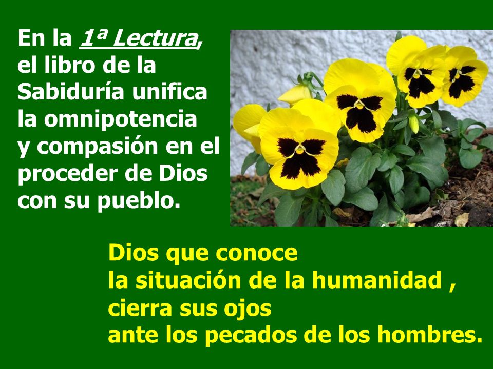 En la 1ª Lectura, el libro de la Sabiduría unifica la omnipotencia y compasión en el proceder de Dios con su pueblo.