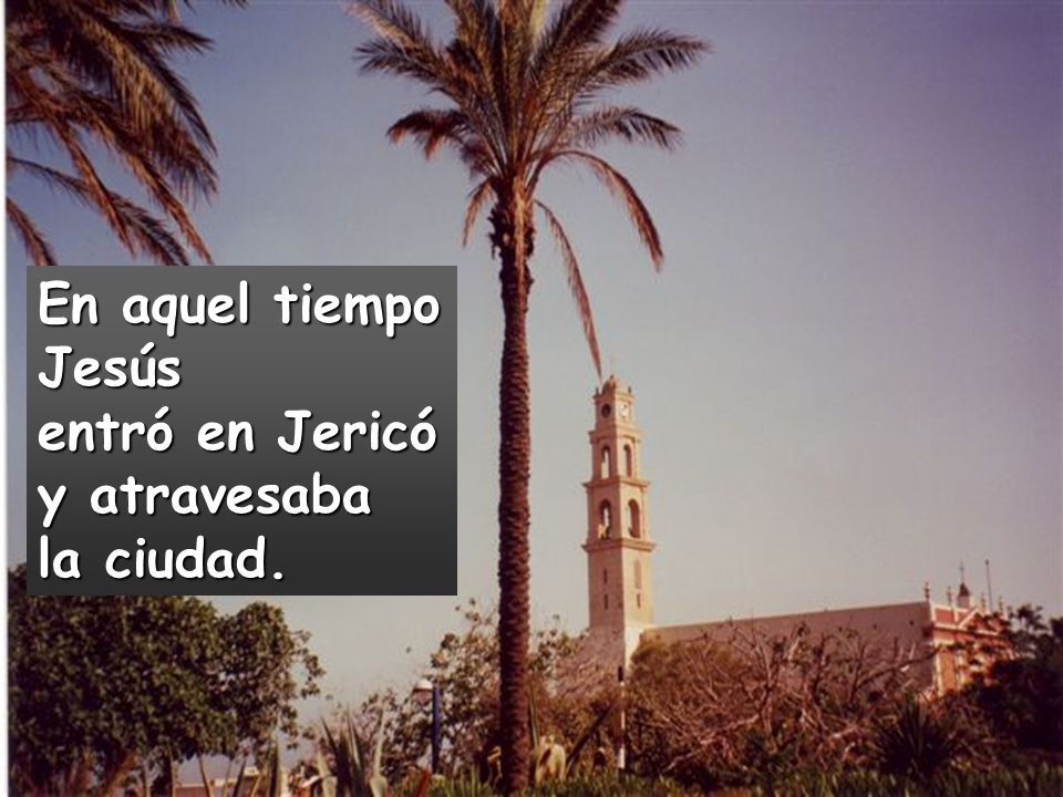 En aquel tiempo Jesús entró en Jericó y atravesaba la ciudad.