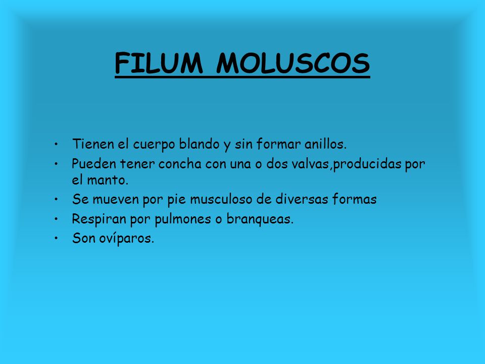 FILUM MOLUSCOS Tienen el cuerpo blando y sin formar anillos.