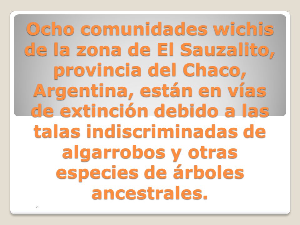 Ocho comunidades wichis de la zona de El Sauzalito, provincia del Chaco, Argentina, están en vías de extinción debido a las talas indiscriminadas de algarrobos y otras especies de árboles ancestrales.