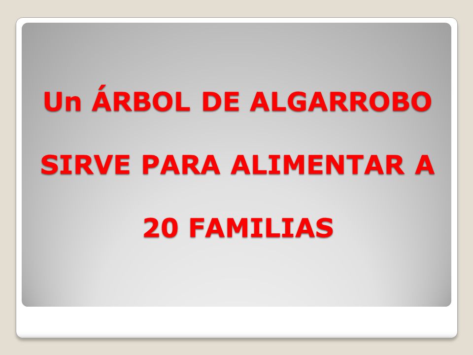 Un ÁRBOL DE ALGARROBO SIRVE PARA ALIMENTAR A 20 FAMILIAS