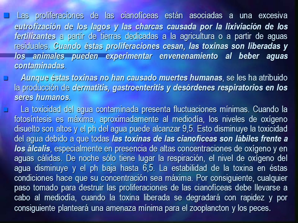Las proliferaciones de las cianofíceas están asociadas a una excesiva eutrofización de los lagos y las charcas causada por la lixiviación de los fertilizantes a partir de tierras dedicadas a la agricultura o a partir de aguas residuales. Cuando éstas proliferaciones cesan, las toxinas son liberadas y los animales pueden experimentar envenenamiento al beber aguas contaminadas.