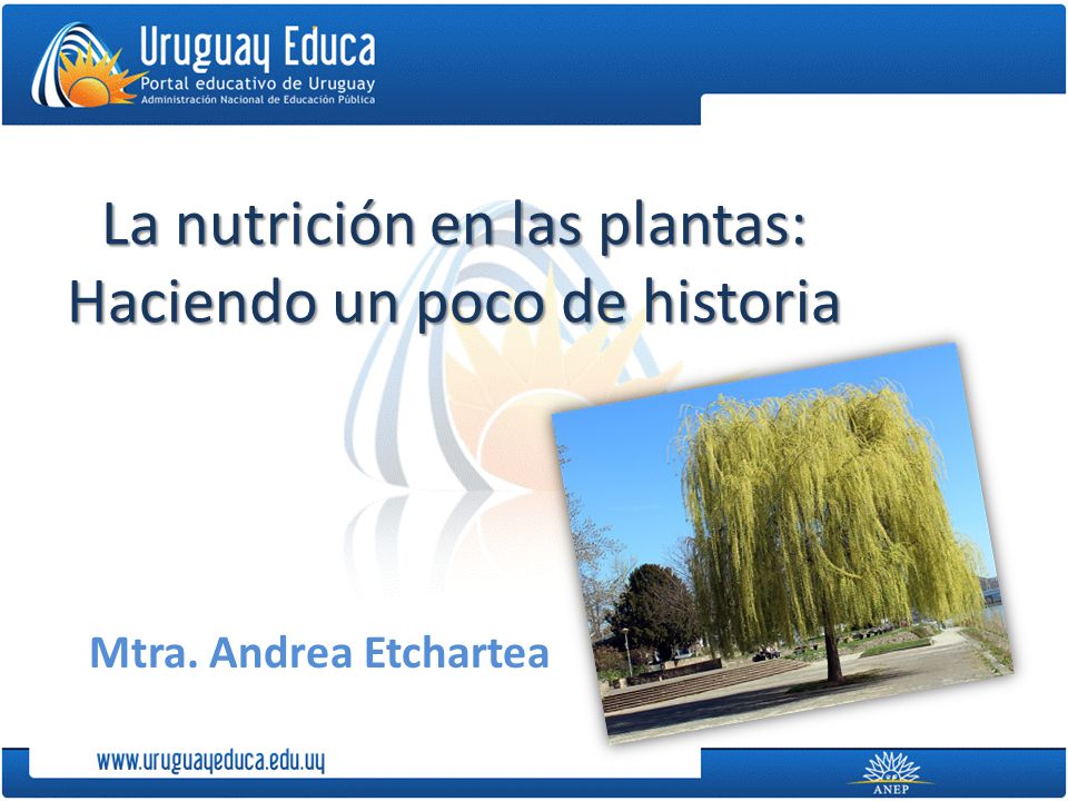 La nutrición en las plantas: Haciendo un poco de historia