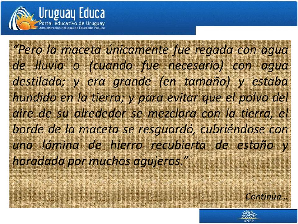 Pero la maceta únicamente fue regada con agua de lluvia o (cuando fue necesario) con agua destilada; y era grande (en tamaño) y estaba hundido en la tierra; y para evitar que el polvo del aire de su alrededor se mezclara con la tierra, el borde de la maceta se resguardó, cubriéndose con una lámina de hierro recubierta de estaño y horadada por muchos agujeros.