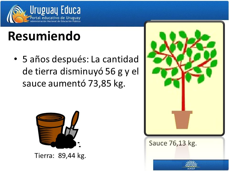 Resumiendo Sauce 76,13 kg. 5 años después: La cantidad de tierra disminuyó 56 g y el sauce aumentó 73,85 kg.