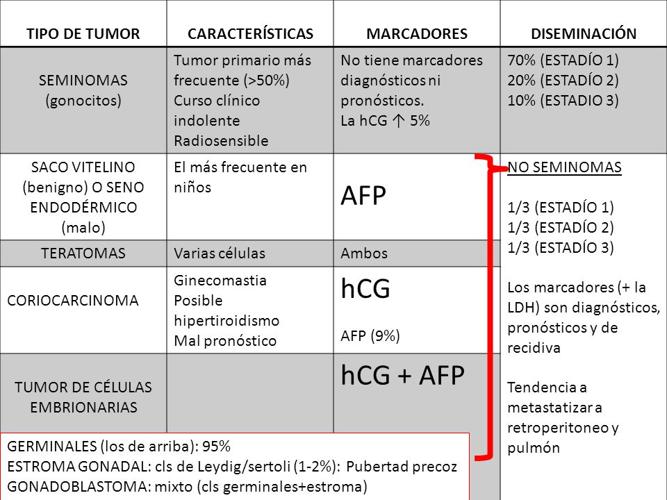 AFP hCG hCG + AFP TIPO DE TUMOR CARACTERÍSTICAS MARCADORES
