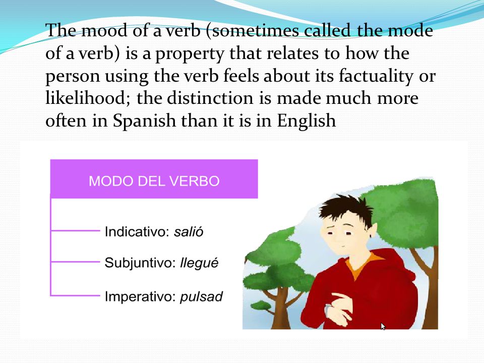 The mood of a verb (sometimes called the mode of a verb) is a property that relates to how the person using the verb feels about its factuality or likelihood; the distinction is made much more often in Spanish than it is in English