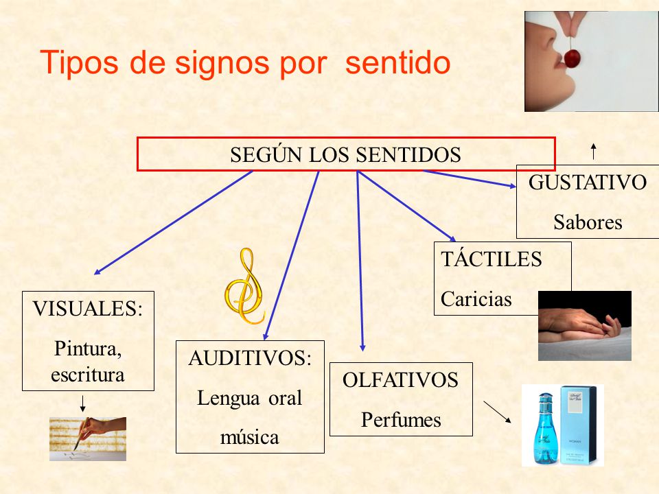 Tipos de signos por sentido