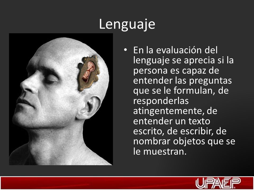 Lenguaje