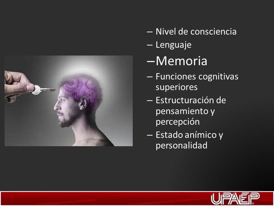Memoria Nivel de consciencia Lenguaje Funciones cognitivas superiores