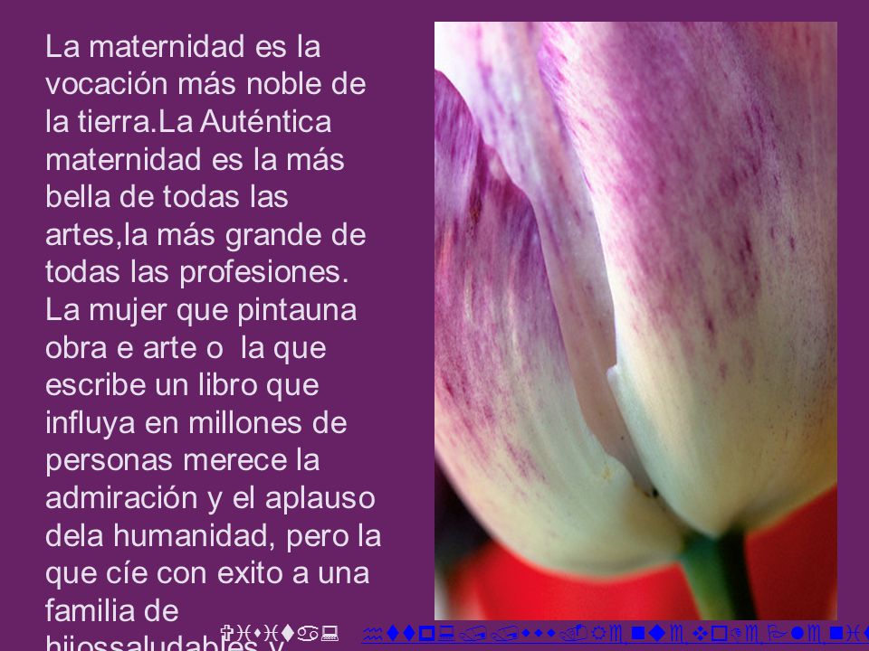 La maternidad es la vocación más noble de la tierra