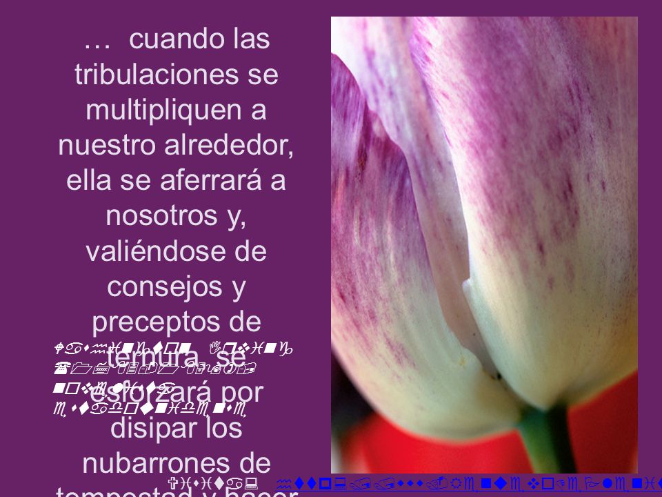 … cuando las tribulaciones se multipliquen a nuestro alrededor, ella se aferrará a nosotros y, valiéndose de consejos y preceptos de ternura, se esforzará por disipar los nubarrones de tempestad y hacer retornar la paz a nuestro corazón.
