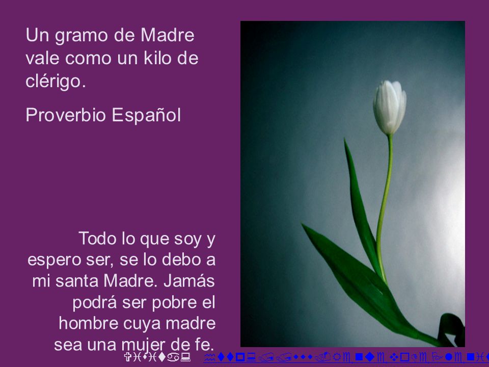 Un gramo de Madre vale como un kilo de clérigo.