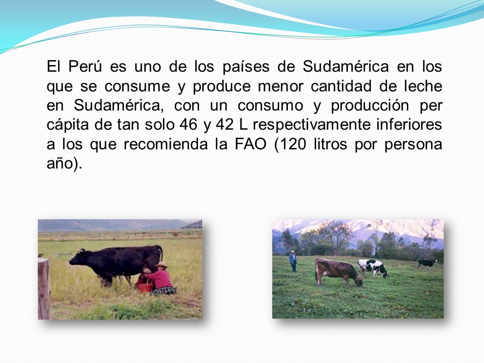 El Perú es uno de los países de Sudamérica en los que se consume y produce menor cantidad de leche en Sudamérica, con un consumo y producción per cápita de tan solo 46 y 42 L respectivamente inferiores a los que recomienda la FAO (120 litros por persona año).