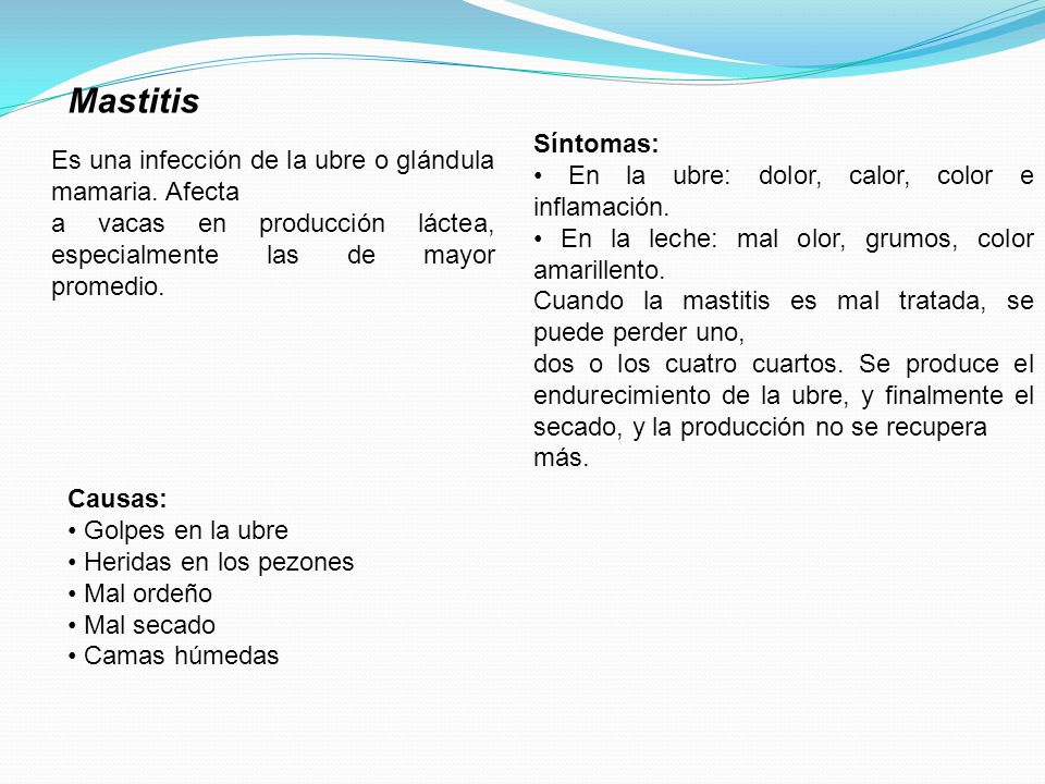 Mastitis Síntomas: • En la ubre: dolor, calor, color e inflamación. • En la leche: mal olor, grumos, color amarillento.