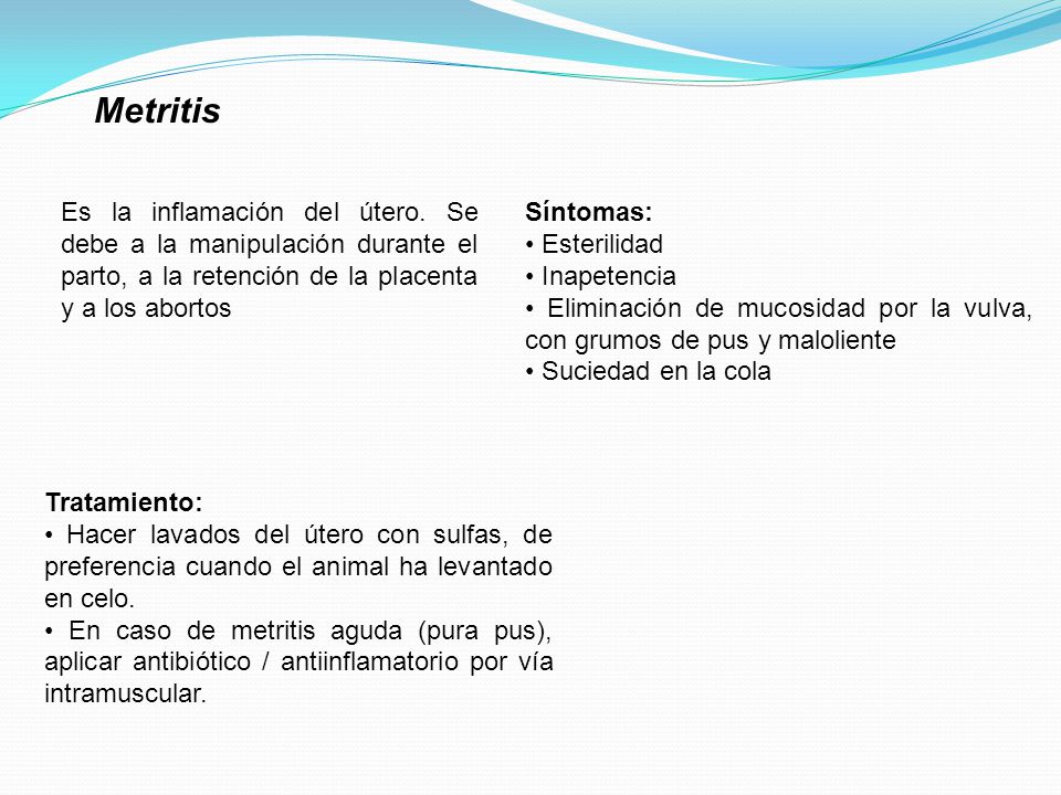 Metritis Es la inflamación del útero. Se debe a la manipulación durante el parto, a la retención de la placenta y a los abortos.