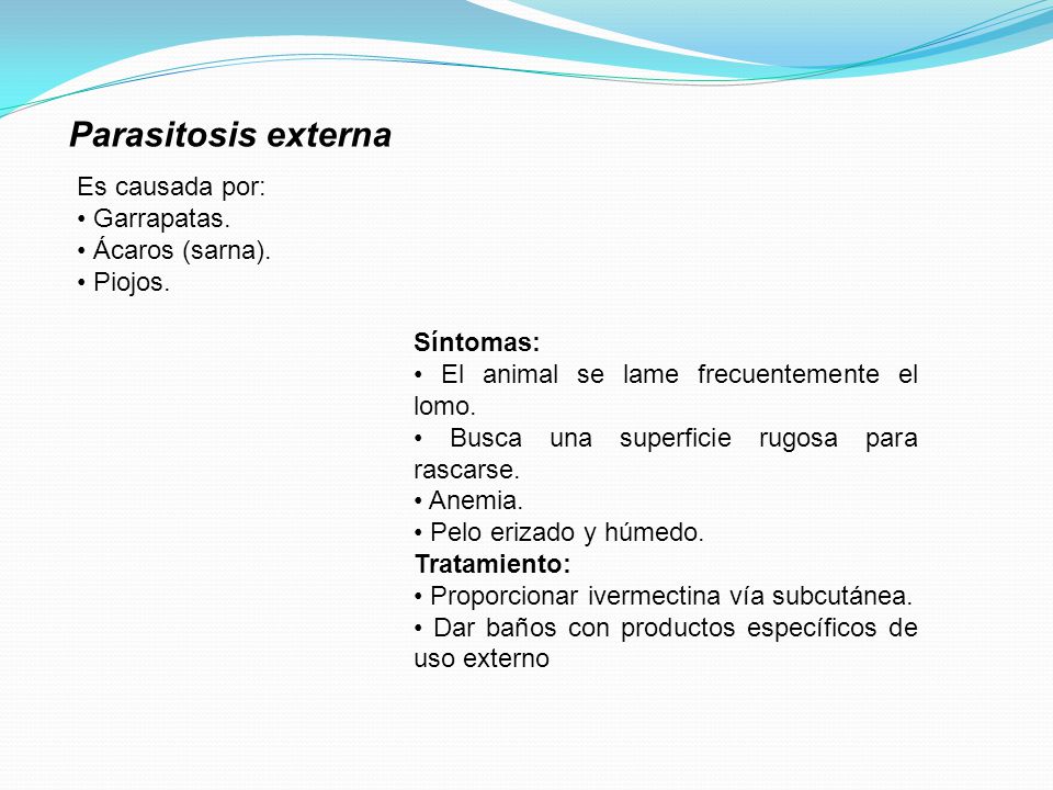 Parasitosis externa Es causada por: • Garrapatas. • Ácaros (sarna).