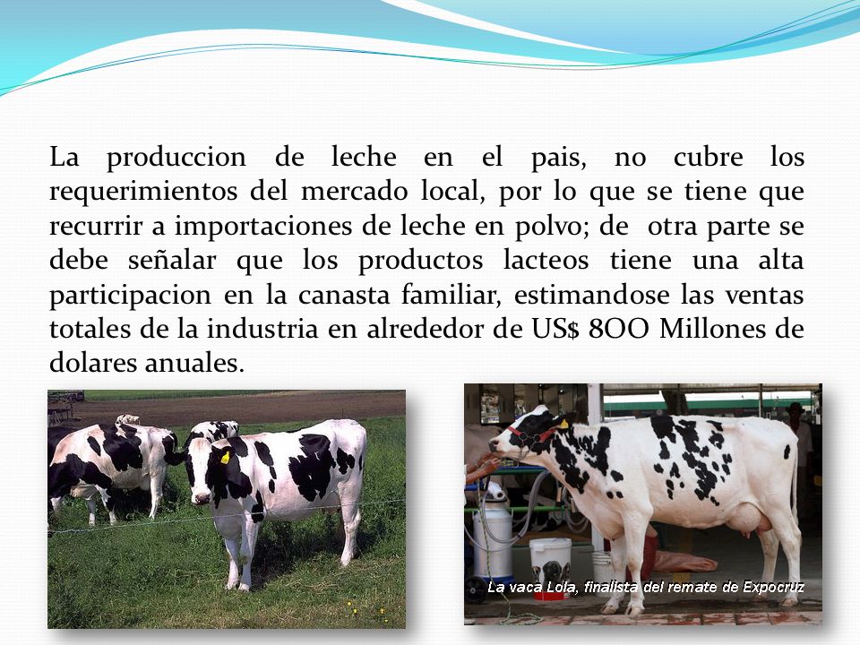 La produccion de leche en el pais, no cubre los requerimientos del mercado local, por lo que se tiene que recurrir a importaciones de leche en polvo; de otra parte se debe señalar que los productos lacteos tiene una alta participacion en la canasta familiar, estimandose las ventas totales de la industria en alrededor de US$ 8OO Millones de dolares anuales.