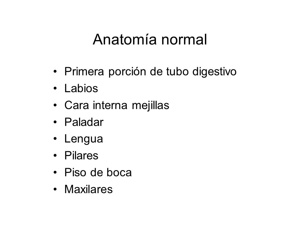 Anatomía normal Primera porción de tubo digestivo Labios