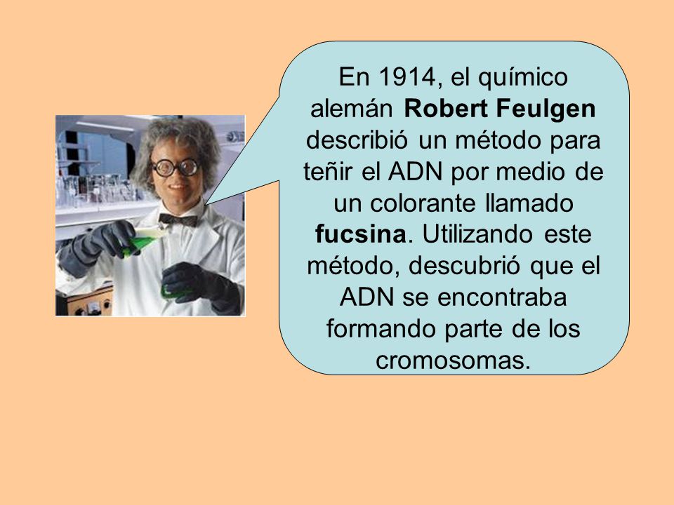 En 1914, el químico alemán Robert Feulgen describió un método para teñir el ADN por medio de un colorante llamado fucsina.