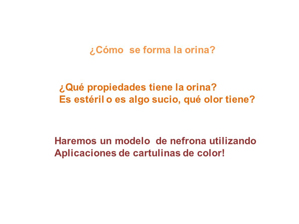¿Cómo se forma la orina ¿Qué propiedades tiene la orina Es estéril o es algo sucio, qué olor tiene