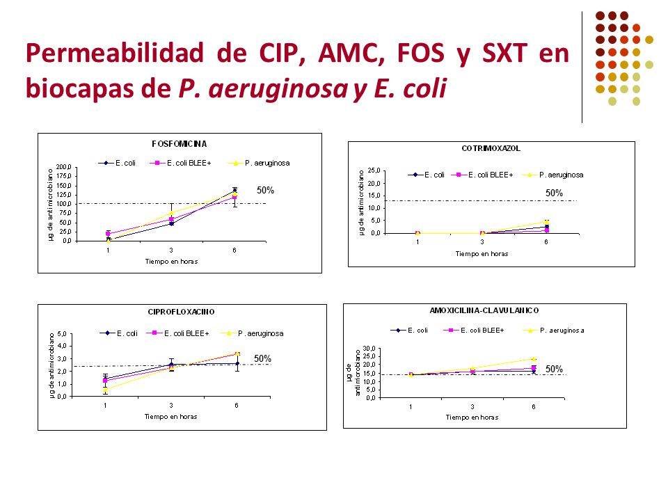 Permeabilidad de CIP, AMC, FOS y SXT en biocapas de P. aeruginosa y E