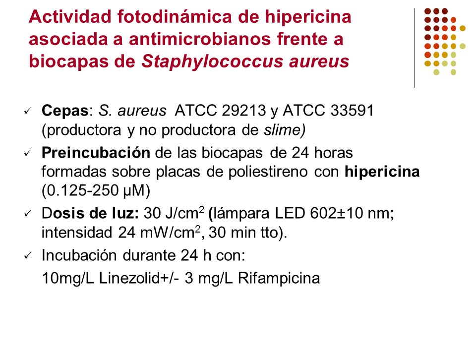 Actividad fotodinámica de hipericina asociada a antimicrobianos frente a biocapas de Staphylococcus aureus
