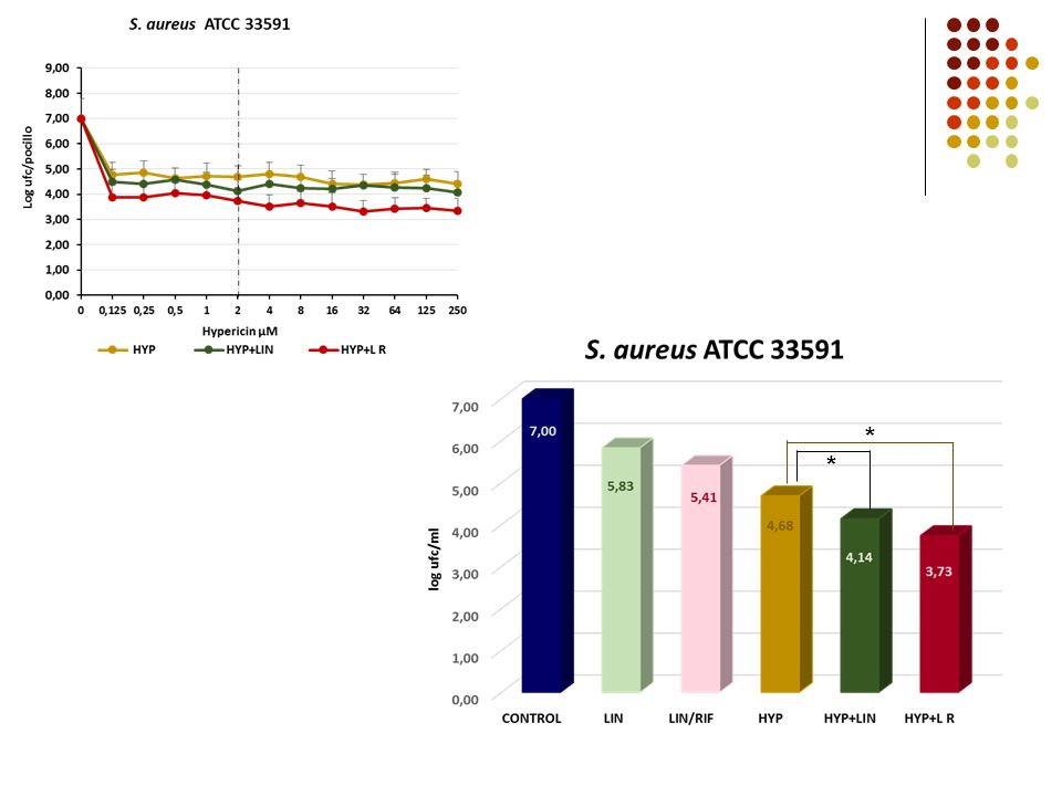 * Clara relación entre tiempo preincubación, concentración y actividadpreinc 24 h: 0,125um 3.3 log.