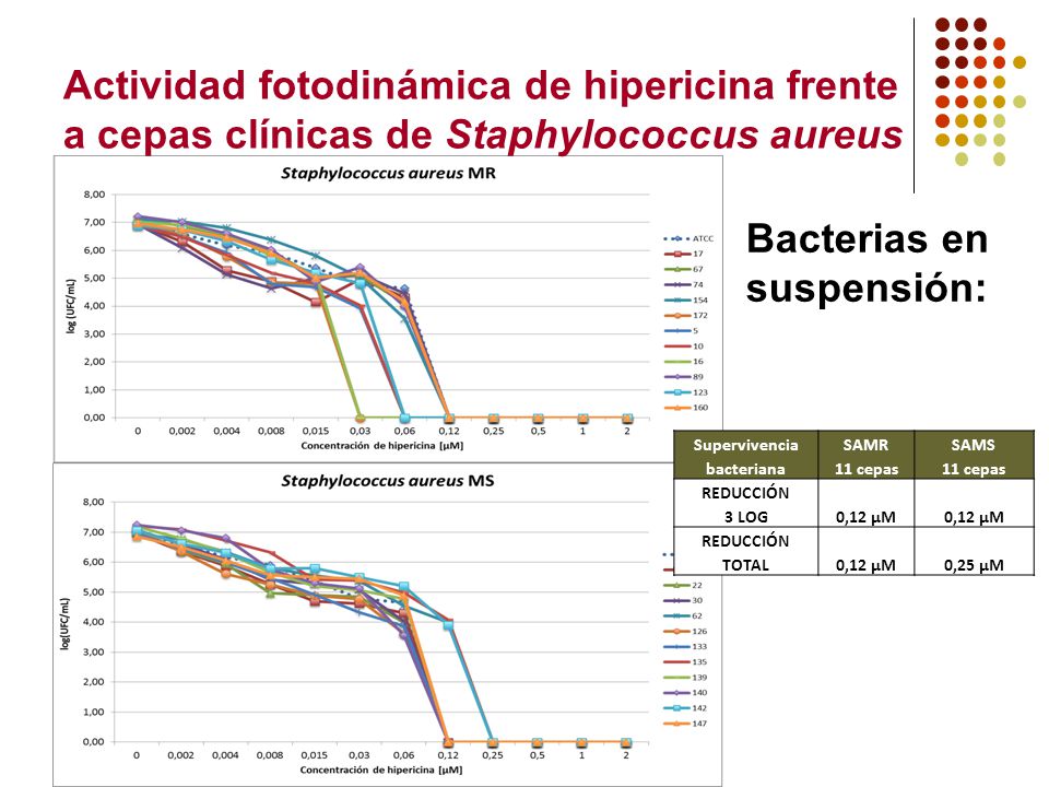 Actividad fotodinámica de hipericina frente a cepas clínicas de Staphylococcus aureus