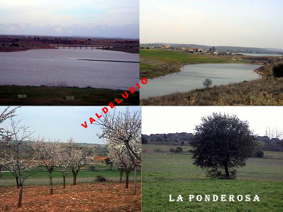 V A L D E L U D I O L A P O N D E R O S A 14 de abril de 2017