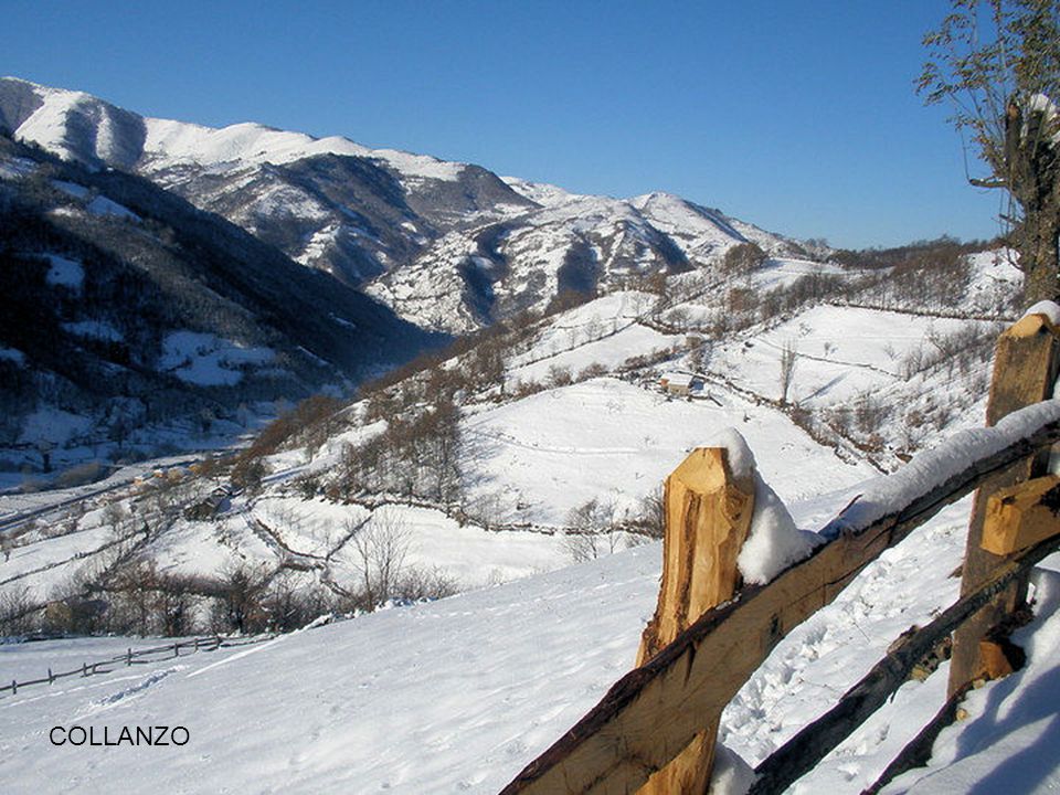 COLLANZO
