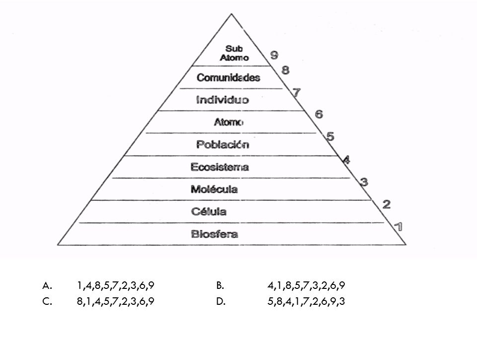 10. Para que los ecosistemas mantengan su equilibrio tienen que